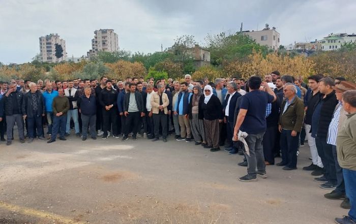 Tepkiler sonu verdi, limon ihracat yasa ertelendi